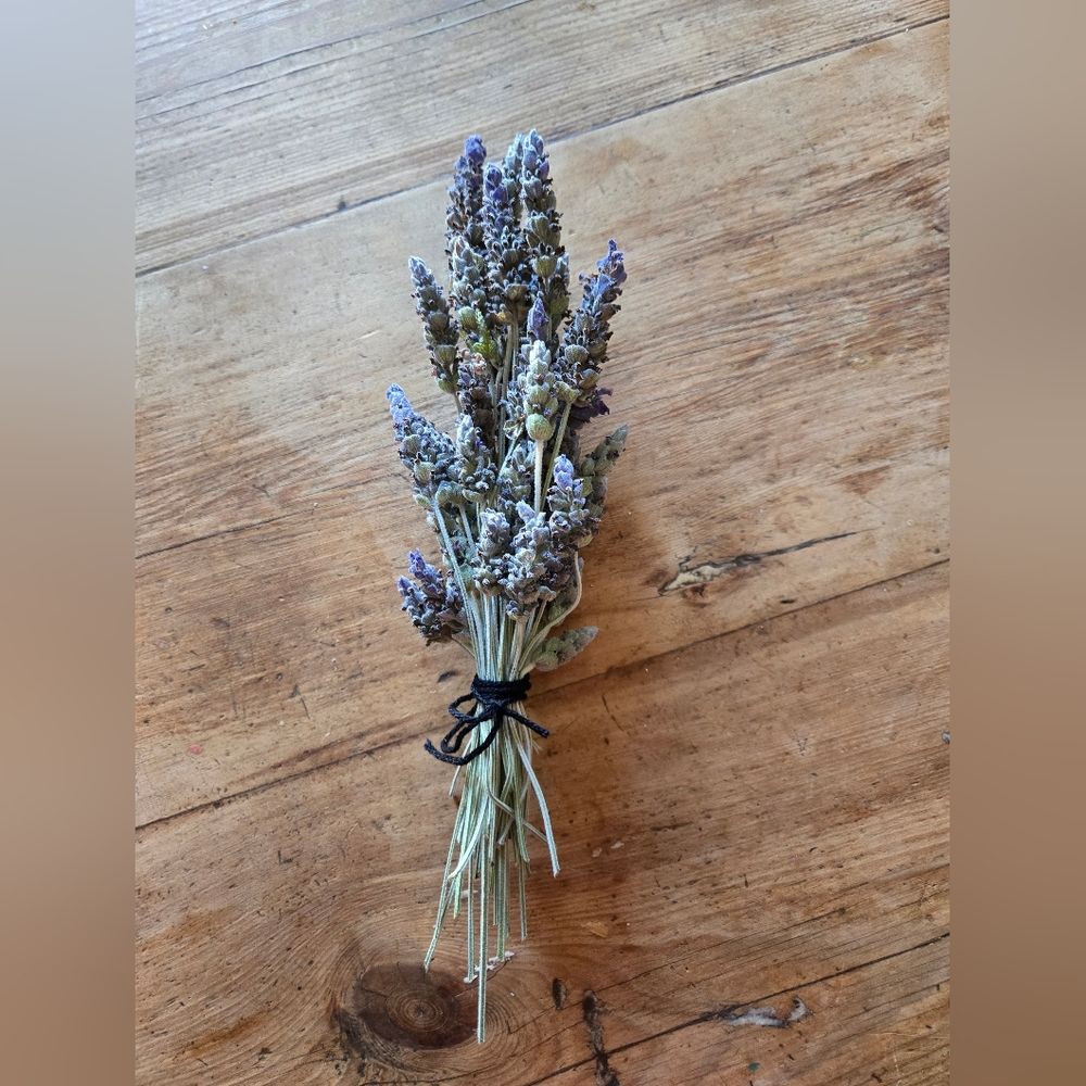 Dried lavender bouquet (fringed lavender variety)